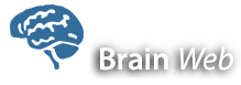 Brainweb